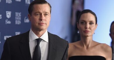 Brad Pitt y Angelina Jolie alcanzan un acuerdo de divorcio tras ocho años de conflictos legales