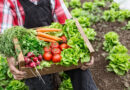 Cinco hábitos de estilo de vida saludables para mejorar la salud del corazón