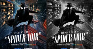 Spider- Noir