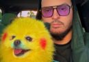 Erik Torres sobrevive a un infarto masivo gracias a Zaza (Pikachu), el perro viral que conquistó las redes y le salvó la vida